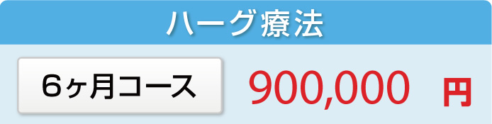 ハーグ療法：6ヶ月コース900,000円