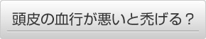 頭皮の血行が悪いと薄毛になるの？