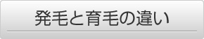 発毛と育毛の違い