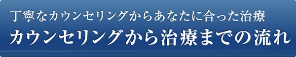 カウンセリングから治療までの流れ(丁寧なカウンセリングからあなたに合った治療)