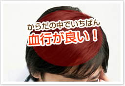 からだの中でいちばん血行が良い