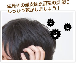 生乾きの頭皮は原因菌の温床にしっかり乾かしましょう