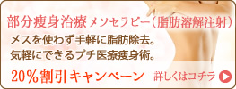 部分痩身治療メソセラピー（脂肪溶解注射）キャンペーン