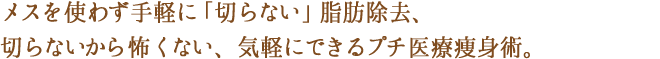 メスを使わず手軽に切らない脂肪除去、切らないから怖くない気軽にできるプチ医療痩身術