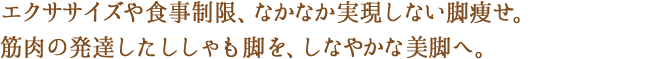 エクササイズや食事制限でもなかなか実現しない脚痩せ、筋肉の発達したししゃも脚をしなやかな美脚へ