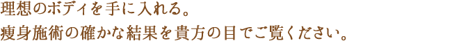 丁寧に、確実に、最高の技術で行う痩身施術、確かな結果を貴方の目でご覧ください