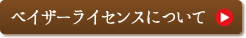 ベイザーライセンスについて